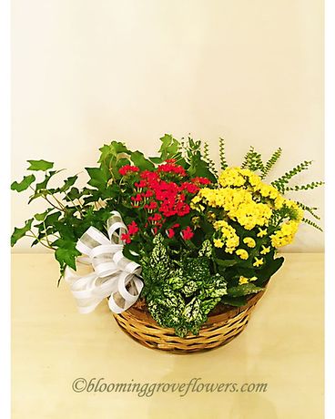 BGF2189 Flower Arrangement