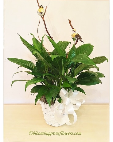 BGF0825 Flower Arrangement