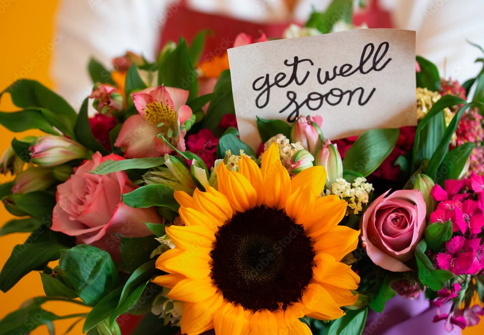 Get Well Flowers Delivery Bethesda MD LuLu Florist