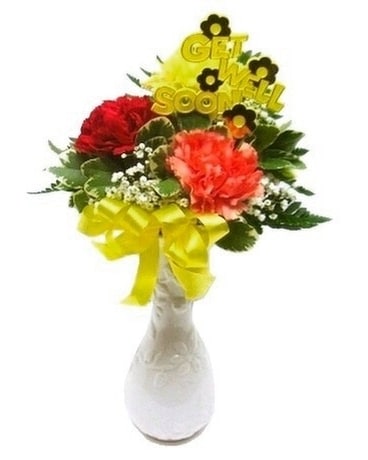 Multi Colored Carnation Get Well Bud Vase In Waverly Ny Jayne S