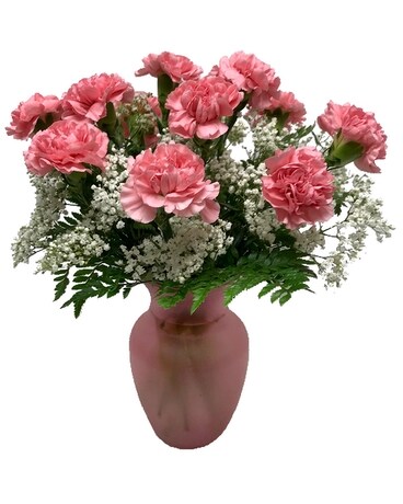 Dozen Pink Carnations