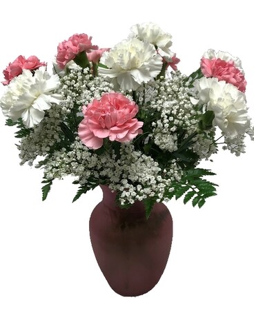 Dozen Pink and White Carnations