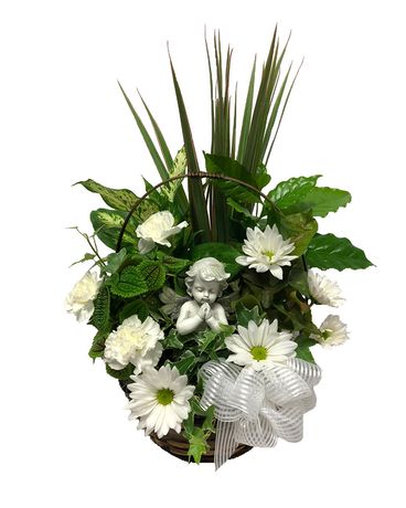 Beloved Dish Garden Flower Arrangement