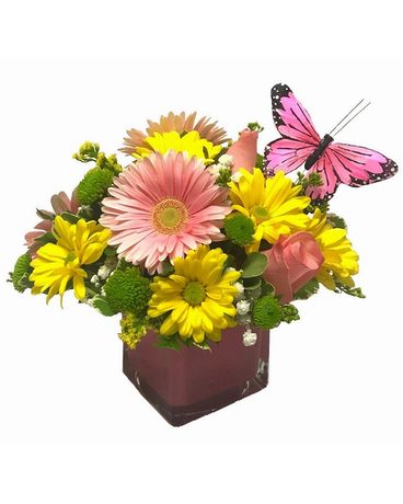 Sweet Hello Flower Arrangement