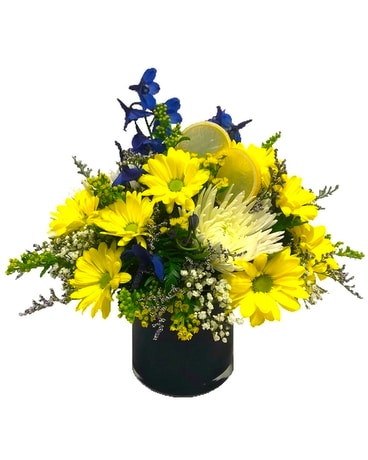 Standard size, 12 inches height and 12 inches wide.