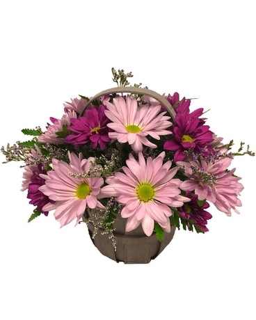 Darling Daisy Basket Flower Arrangement