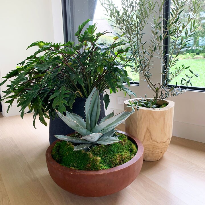 Plant Maintenance