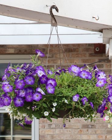 Designer Hanging Basket-SHADE