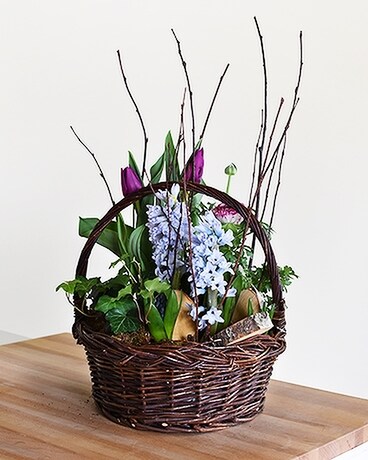 Spring Bulb Garden