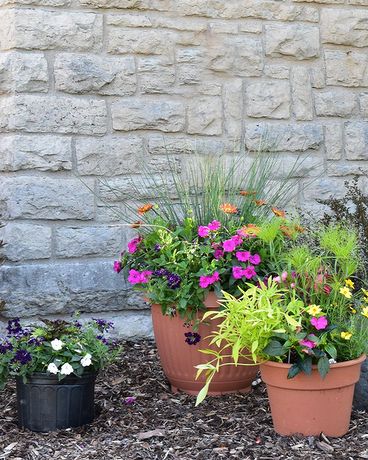 Sun Container Garden