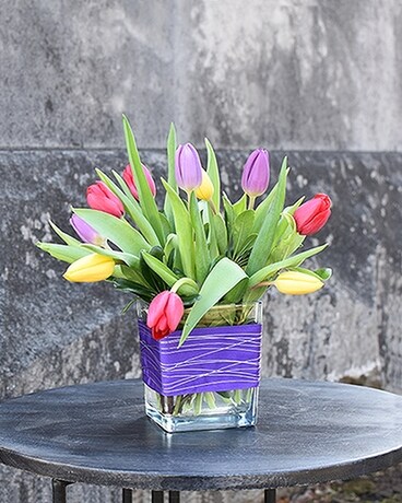 Contemporary Tulips