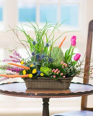 Peter Rabbit's Garden