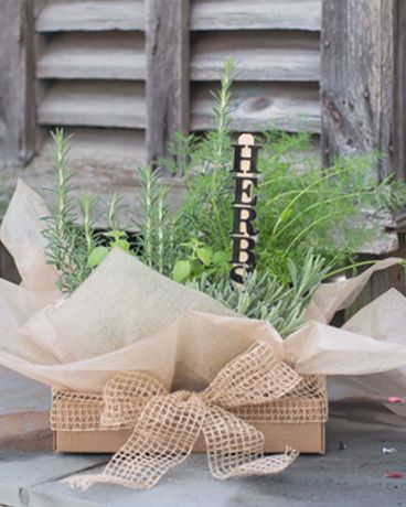 Gathered Herbs DIY