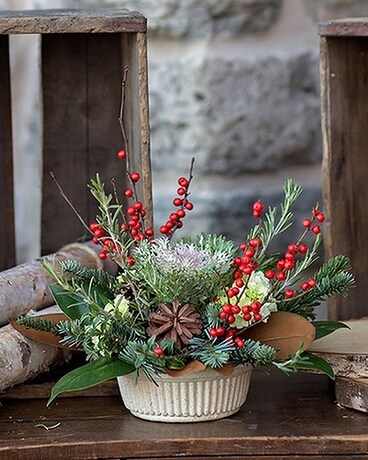 Winter Lasting Beauty
