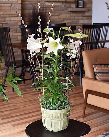 Easter Basket Lily Flower Arrangement