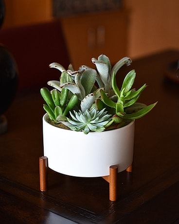 Desert Chic Garden Flower Arrangement