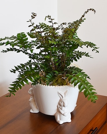 Bunny Planter Flower Arrangement