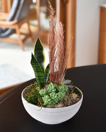 Maple Origin Succulent Bowl Flower Arrangement