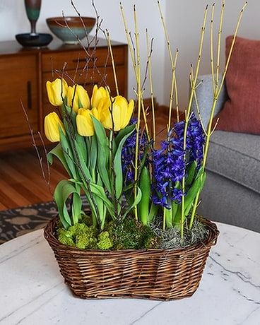 Double Bulb Basket Flower Arrangement
