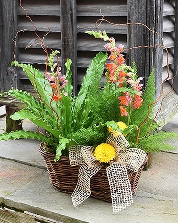 The Fernery Gifts