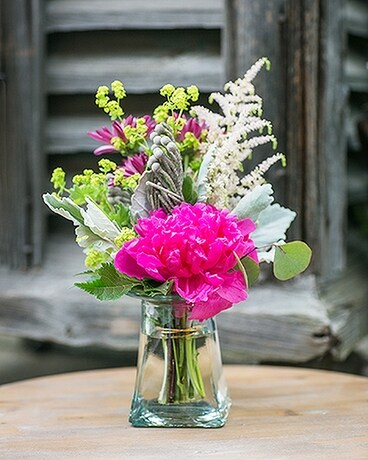 Glory of the Garden