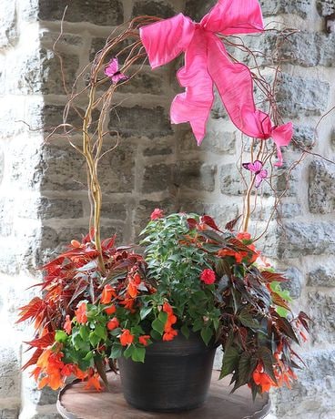 Twiggy Handled Garden Pot Plant