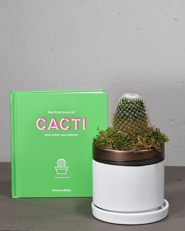 Cactus Lovers Gift Collection Gifts