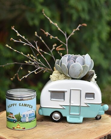Happy Camper Succulent Duo Gifts