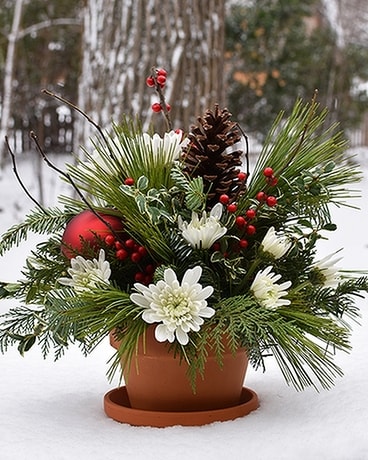 Sugar Plum Flower Arrangement