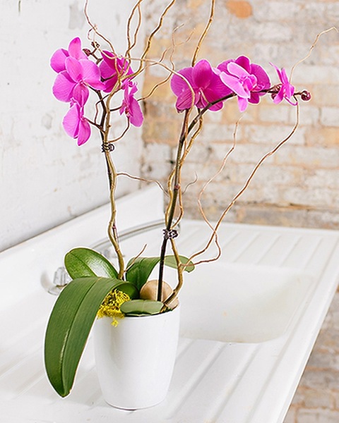 anthurium artificial plant Cream White Artificial Anthurium Tropical Flower main image 0
