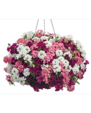 Hanging Basket Flower Arrangement