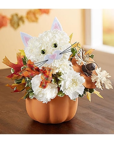 Autumn Kitty Flower Arrangement