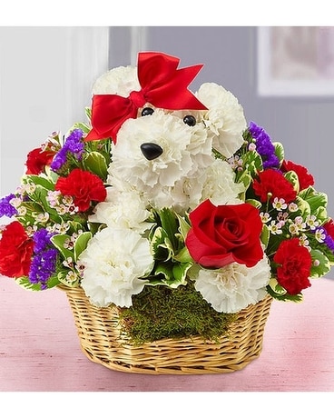 Love Pup Flower Arrangement