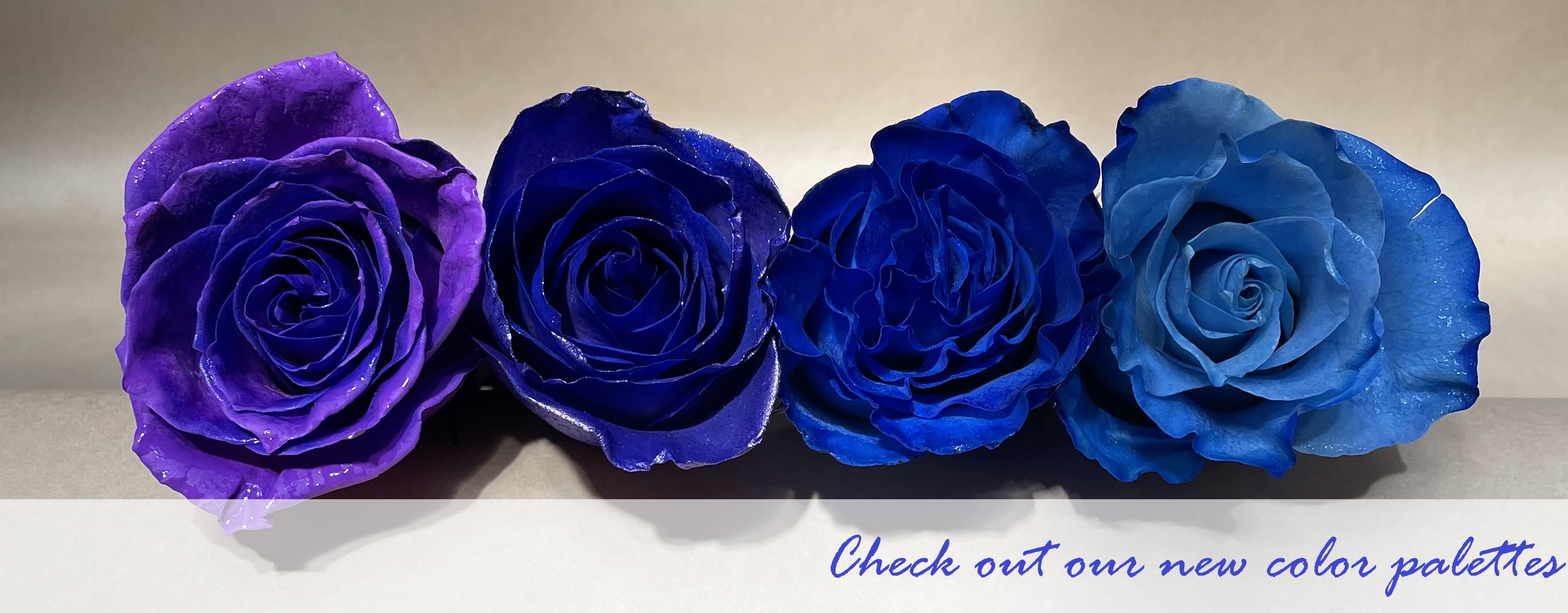 Flower Delivery to Baltimore by Peace and Blessings Florist
