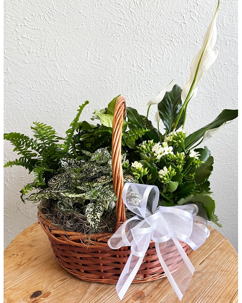 Floral Baskets Delivery Lewisville TX - Mickey's Florist