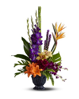 Standard size, 34 inches height and 22 inches wide.