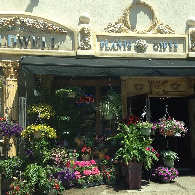 Flowers for Love & Romance Delivery Caldwell NJ Caldwell Flowerland