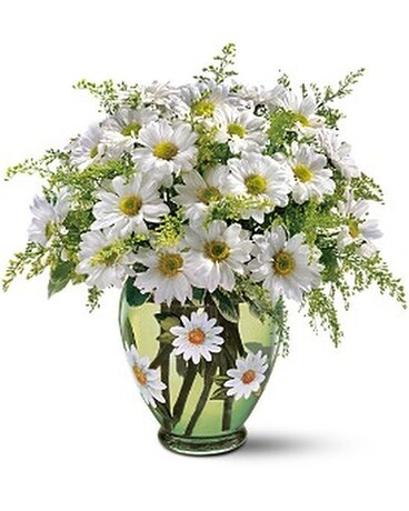 Crazy for Daisies Flower Arrangement