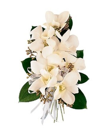 White Dendrobium Corsage Corsage