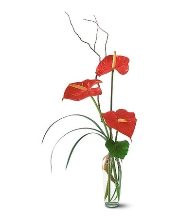 Anthuriums in a Vase Flower Arrangement