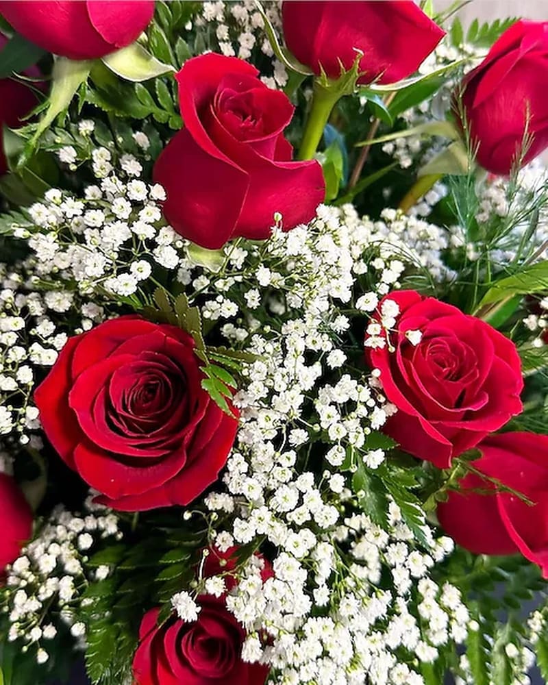 Roses in Xenia, OH | The Flower Stop Rose Delivery