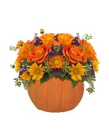 Petite Pumpkin