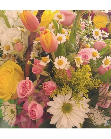 Designer's Choice: Casual and Springy