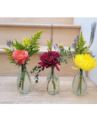 Seasonal Trio Flower Arrangement