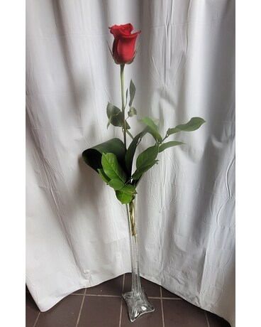 Make A Statement Rose Flower Arrangement