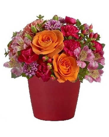 Posh Posy Flower Arrangement