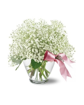 Sweet and Simple *Special Price* Flower Arrangement