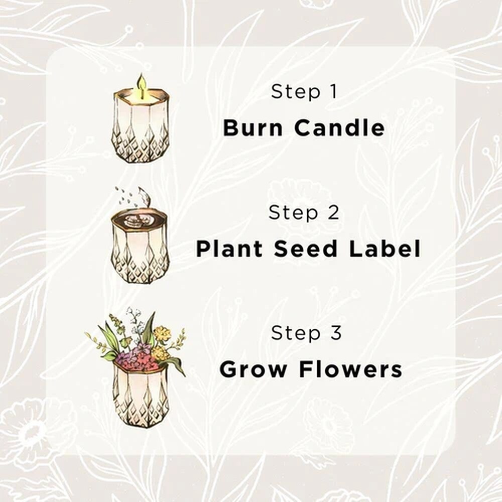 The growing candle hotsell