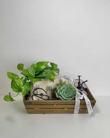 Plant Lover's Package Gifts