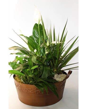 Tin Garden Flower Arrangement